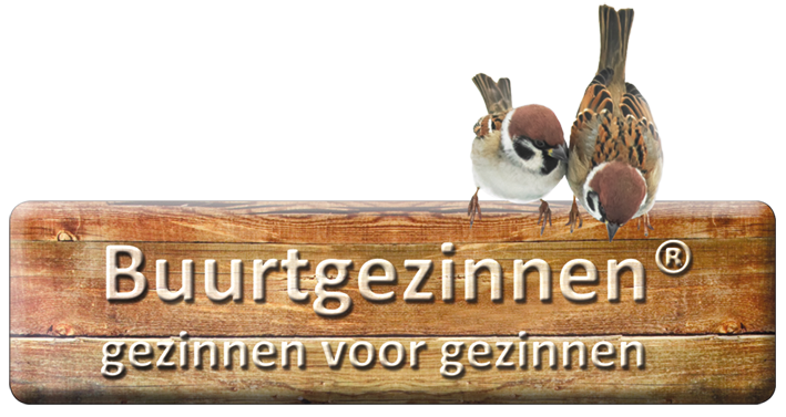 Buurtgezinnen